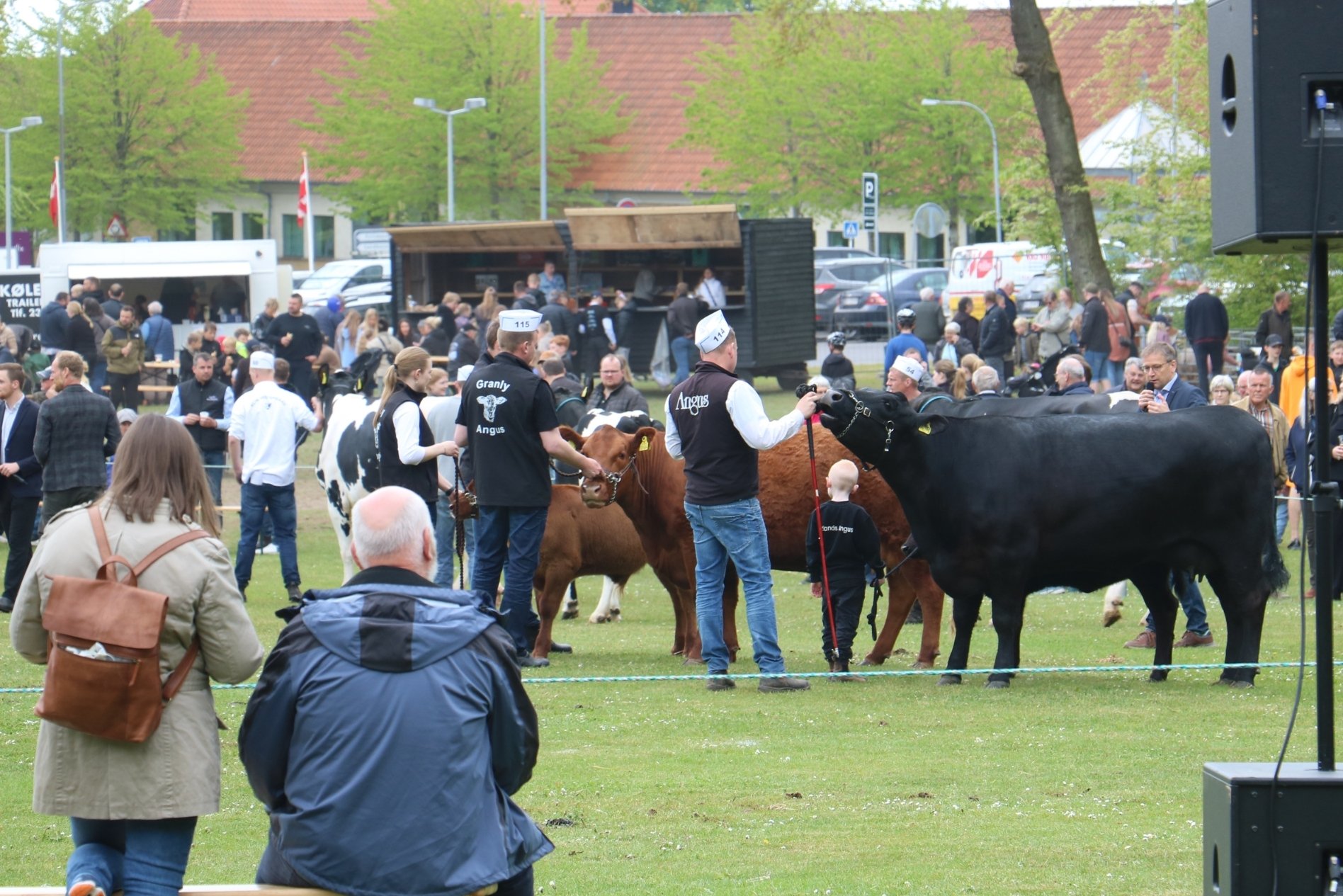 Fjerritslev Dyrskue Agillix 2
