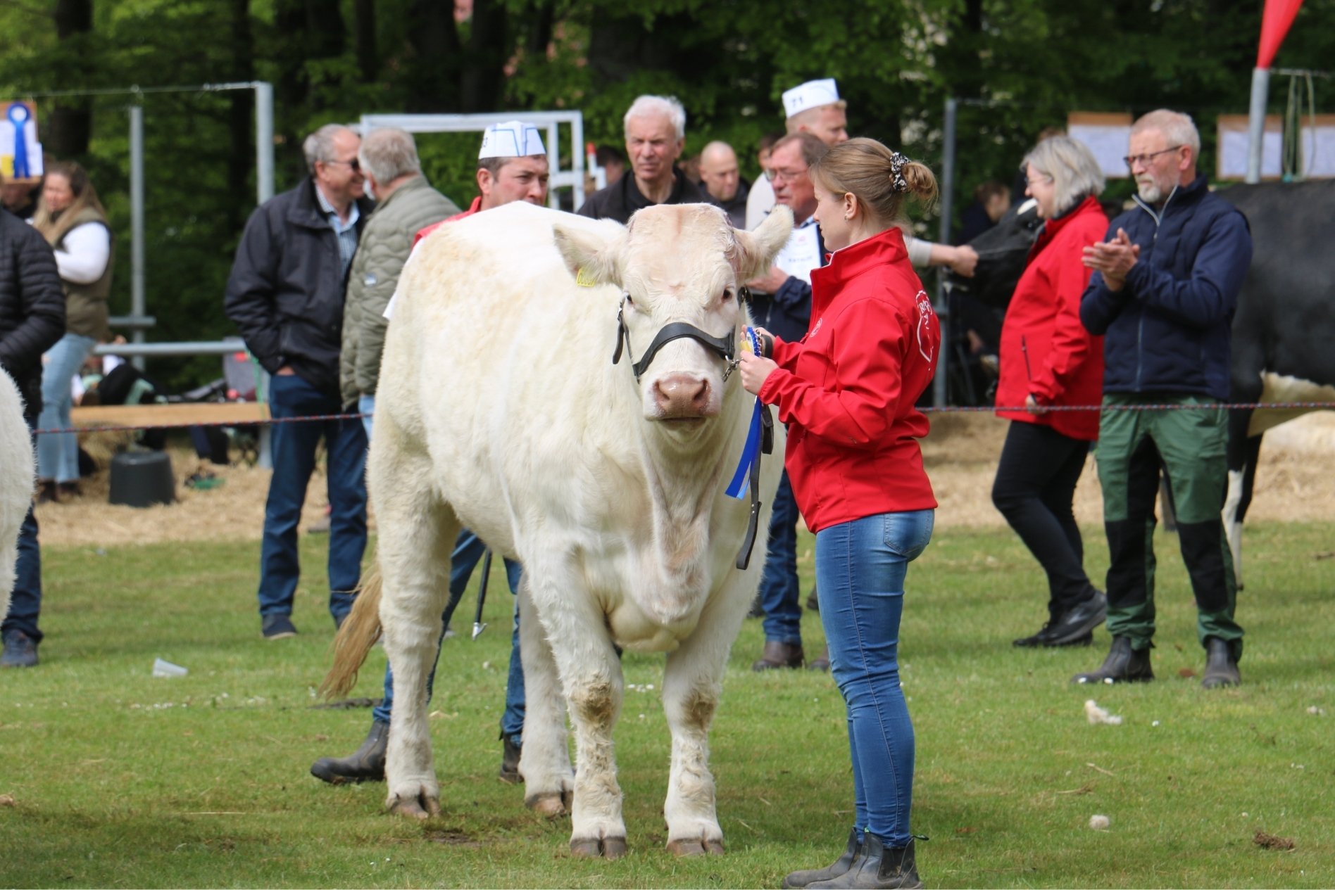 Fjerritslev Dyrskue Agillix 3