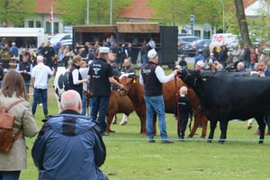 Fjerritslev Dyrskue klar til endnu et rekordår